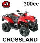 Ricambi Aeon Crossland 300